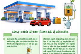 Từ 1/6/2026, xăng sinh học E10 chính thức được triển khai trên toàn quốc