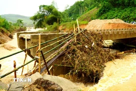 Chính quyền xã Sơn Hà dựng cầu tạm để lực lượng chức năng tiếp cận các thôn bị cô lập, hỗ trợ người dân. (Ảnh: Lê Phước Ngọc/TTXVN)