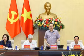 Chủ tịch Quốc hội Trần Thanh Mẫn phát biểu. (Ảnh: Doãn Tấn/TTXVN)