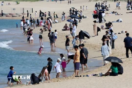 Người dân tránh nóng trên bãi biển tại Gangneung, Hàn Quốc. (Ảnh: Yonhap/TTXVN)