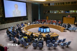 Toàn cảnh một phiên họp của Hội đồng Bảo an LHQ về xung đột giữa Israel và Iran tại New York (Mỹ). (Ảnh: THX/TTXVN)