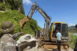 (Ảnh: TTXVN phát)