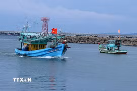 Tàu cá trên cửa sông Dương Đông, thành phố Phú Quốc (An Giang). (Ảnh: Lê Huy Hải/TTXVN)