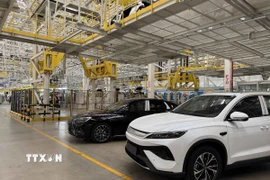 Xưởng lắp ráp xe ôtô của hãng BYD, Trung Quốc. (Ảnh: Công Tuyên/TTXVN)