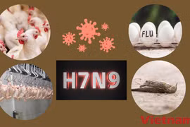 (Nguồn: Vietnam+)