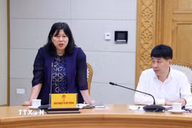 Thứ trưởng Bộ Nông nghiệp và Môi trường Nguyễn Thị Phương Hoa Ủy viên Ban Chỉ đạo thay thế ông Lê Công Thành. (Ảnh: Văn Điệp/TTXVN)