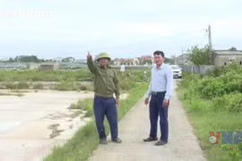Thanh Hóa: Nhiều đồng muối bỏ hoang do diêm dân bỏ nghề