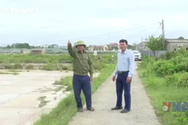 Thanh Hóa: Nhiều đồng muối bỏ hoang do diêm dân bỏ nghề