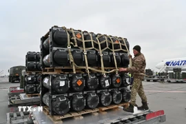 Lô tên lửa Javelins được chuyển tới sân bay ở Kiev, Ukraine. (Ảnh: AFP/TTXVN)
