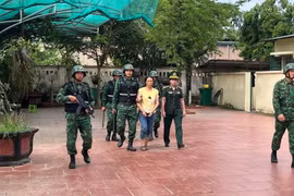 Biên phòng Lào Cai triệt phá đường dây mua bán người xuyên biên giới