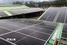 Hệ thống pin điện mặt trời được lắp đặt trên mái nhà xưởng ở Khu công nghiệp Phú Tài, Gia Lai. (Ảnh minh họa: Nguyên Linh/TTXVN)