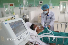 Bác sỹ Bệnh viện Đa khoa tỉnh Quảng Ngãi 2 thăm khám bệnh nhân bị ngộ độc Botulinum. (Ảnh: Dư Toán/TTXVN)