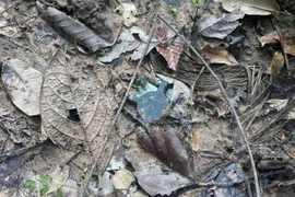 Một quả mìn được nhìn thấy trên một cánh đồng ở Chong Bok, Ubon Ratchathani. (Ảnh: Bangkok Post)