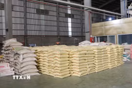 Thành phố Cần Thơ có khoảng 390.000ha sản xuất lúa, sản lượng 4,6 triệu tấn lúa tương đương khoảng 3 triệu tấn gạo. (Ảnh: Tuấn Phi/TTXVN)