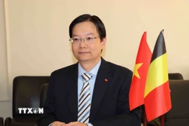 Ông Trần Ngọc Quân, Tham tán Thương mại, Trưởng Thương vụ Việt Nam tại Vương quốc Bỉ và EU. (Ảnh: Hương Giang/TTXVN)