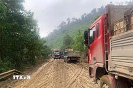 Các phương tiên tham gia giao thông trên tuyến quốc lộ 14D rất khó khăn do tuyến đường bị xuống cấp nghiêm trọng. (Ảnh: Trần Tĩnh/TTXVN)