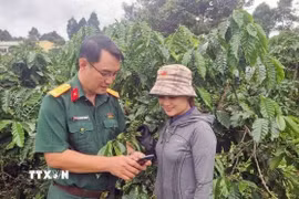 Quân đội sát cánh cùng dân bản mở đất thoát nghèo. (Ảnh minh họa: Kha Phạm/TTXVN)