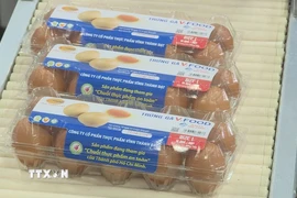 Sản phẩm trứng gia cầm tham gia chuỗi thực phẩm an toàn của Thành phố Hồ Chí Minh với logo của chuỗi. (Ảnh: Hương Giang/TTXVN)