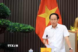 Phó Thủ tướng Lê Tiến Châu phát biểu. (Ảnh: Tuấn Anh/TTXVN)