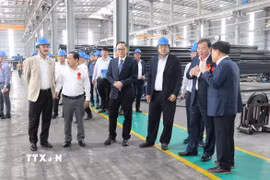 Các đại biểu tham quan Nhà máy sản xuất, kinh doanh sản phẩm thép Hòa Phát Long An. (Ảnh: Bùi Giang/TTXVN)