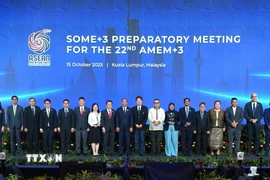 Các đại biểu dự Hội nghị Quan chức Cấp cao ASEAN về Năng lượng+3. (Ảnh: TTXVN phát)