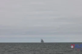 Hải quân Nga diễn tập phòng không, bắn tên lửa Pantsir-M ở Biển Baltic