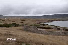 Quang cảnh quần đảo Falklands mà phía Argentina gọi là Malvinas. (Ảnh: AFP/TTXVN)