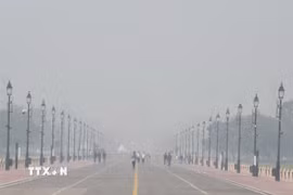 Tình trạng ô nhiễm không khí tại New Delhi, Ấn Độ. (Ảnh: ANI/TTXVN)