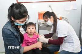 Triển khai tiêm vaccine phòng sởi tại Trạm Y tế xã Gia Lập, huyện Gia Viễn, tỉnh Ninh Bình. (Ảnh: Thùy Dung/TTXVN)