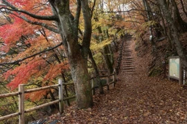 Dự kiến ​​mùa Thu năm nay tại Nhật Bản bị rút ngắn với nhiệt độ cao bất thường cho đến tháng 10 trước khi giảm xuống vào cuối tháng 11. (Nguồn: Getty)