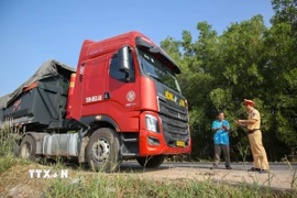(Ảnh ninh họa: Giang Phương/TTXVN)