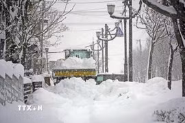 Tuyết rơi dày đặc tại Hokkaido, Nhật Bản. (Ảnh: Kyodo/TTXVN)