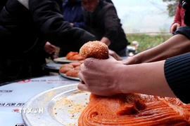 Người dân tộc Dao nắn xôi gấc xay nhuyễn trộn vừng rang để tạo hình và kích cỡ bánh giầy. (Ảnh: Thanh Hải/TTXVN)