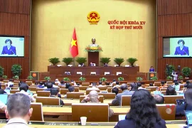 Quốc hội nghe tờ trình, báo cáo thẩm tra sửa đổi Luật
