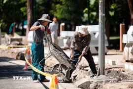 (Ảnh minh họa: Phạm Tuấn Anh/TTXVN)