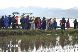 Thi thể nạn nhân được các lực lượng chức năng phát hiện cách hiện trường gặp nạn không xa. (Ảnh: TTXVN phát)