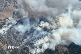 Khói bốc lên từ đám cháy rừng tại British Columbia, Canada năm 2024. (Ảnh: THX/TTXVN)