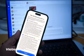 Ảnh minh hoạ. (Ảnh: Minh Sơn/Vietnam+)