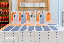 (Ảnh: PV/Vietnam+)