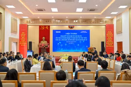 (Ảnh: PV/Vietnam+)