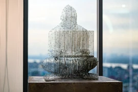 (Ảnh: Minh Sơn/Vietnam+)