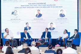 Quang cảnh hội thảo. (Ảnh: PV/Vietnam+)