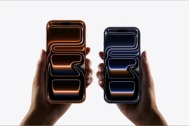 Ảnh minh hoạ. (Ảnh chụp màn hình)