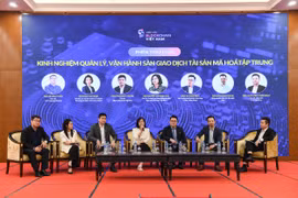(Ảnh: PV/Vietnam+)