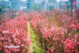 Ngắm những khoảnh khắc tuyệt đẹp của Thủ đô Hà Nội