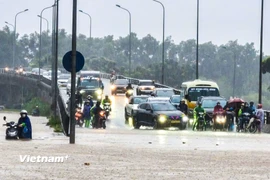 Ảnh minh họa. (Nguồn: Hoài Nam/Vietnam+)