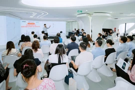 (Ảnh: PV/Vietnam+)