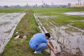 Dự án “Tích hợp mô hình vật lý và mô hình dựa trên dữ liệu trong giám sát và dự báo xâm nhập mặn phục vụ phát triển nông nghiệp xanh tại một số khu vực ven biển Đồng bằng sông Hồng” hướng tới xây dựng hệ thống giám sát và dự báo tích hợp đa công nghệ. (Ảnh: VinFuture)