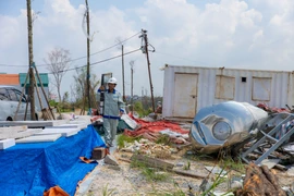 Ảnh minh hoạ. (Ảnh: Minh Sơn/Vietnam+)