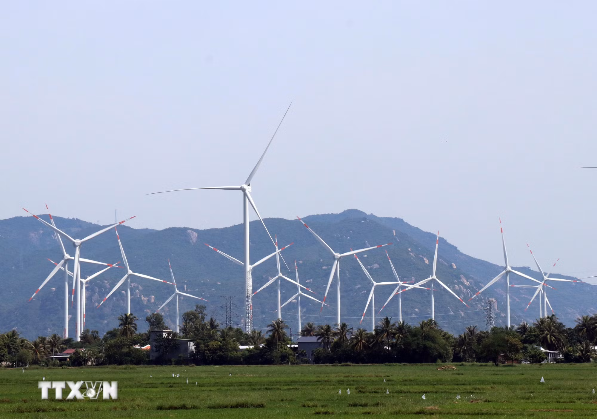 ttxvn-potal-khanh-hoa-can-tap-trung-go-nut-that-de-cac-du-an-nang-luong-som-di-vao-van-hanh-8321325.jpg